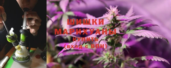 марки lsd Новозыбков