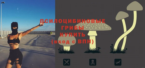 ALPHA PVP Новодвинск
