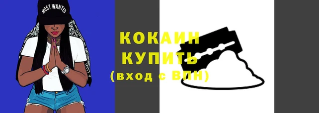 марки lsd Новозыбков