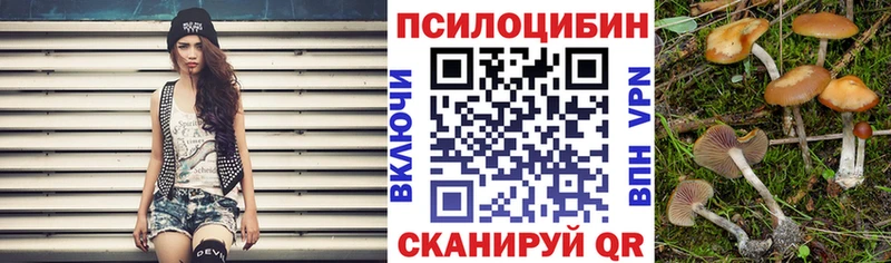 Галлюциногенные грибы прущие грибы  Котово 